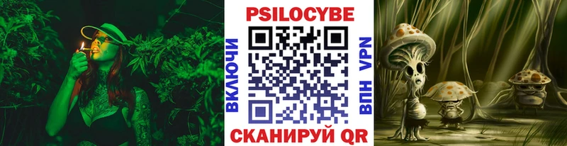 Галлюциногенные грибы прущие грибы Приморско-Ахтарск